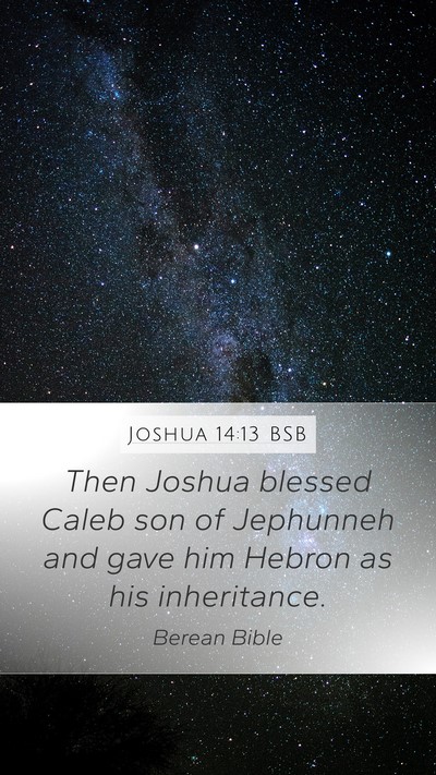 Joshua 14:13 BSB Bible Verse Image