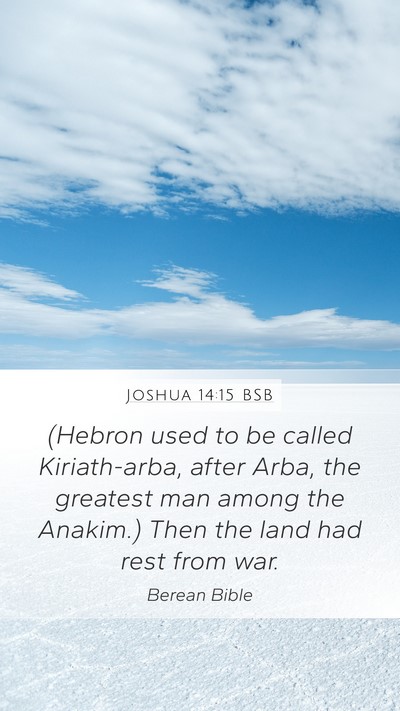 Joshua 14:15 BSB Bible Verse Image