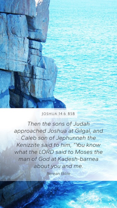 Joshua 14:6 BSB Bible Verse Image