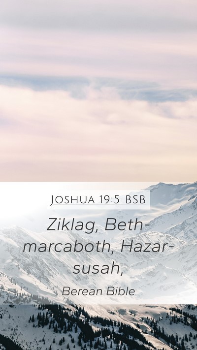 Joshua 19:5 BSB Bible Verse Image