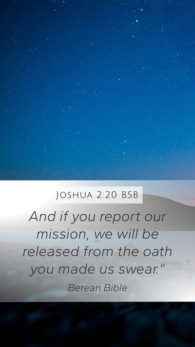 Joshua 2:20 BSB Bible Verse Image