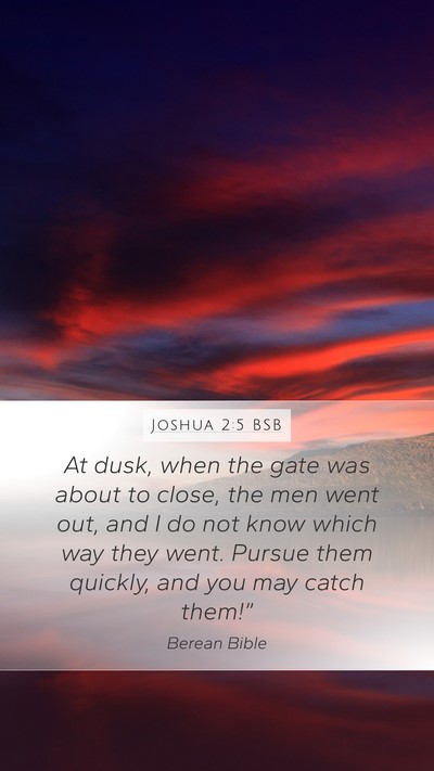 Joshua 2:5 BSB Bible Verse Image