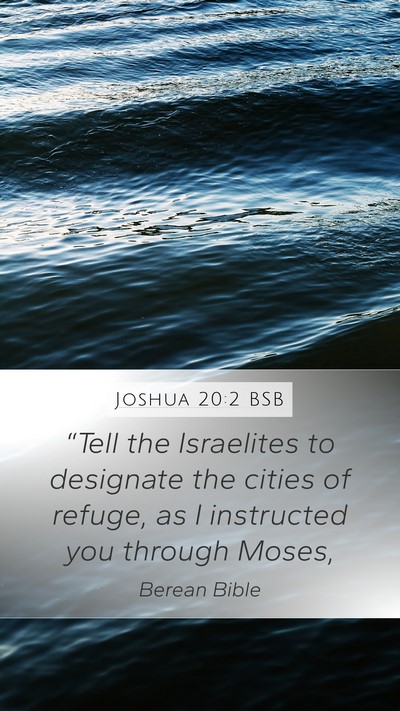 Joshua 20:2 BSB Bible Verse Image