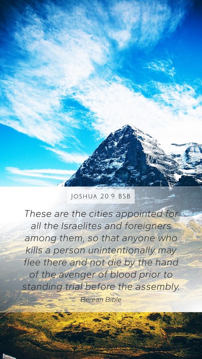 Joshua 20:9 BSB Mobile Phone Wallpaper - These are the cities appointed for all the - Mobile Bible Verse Wallpaper