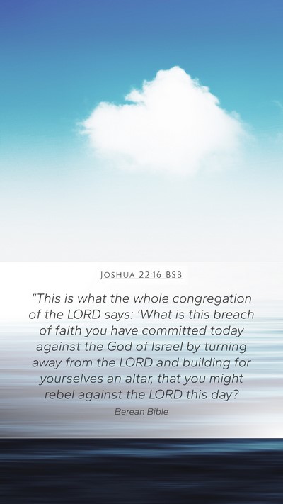 Joshua 22:16 BSB Bible Verse Image