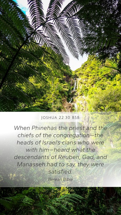 Joshua 22:30 BSB Bible Verse Image