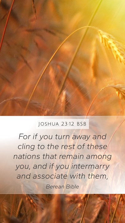 Joshua 23:12 BSB Bible Verse Image