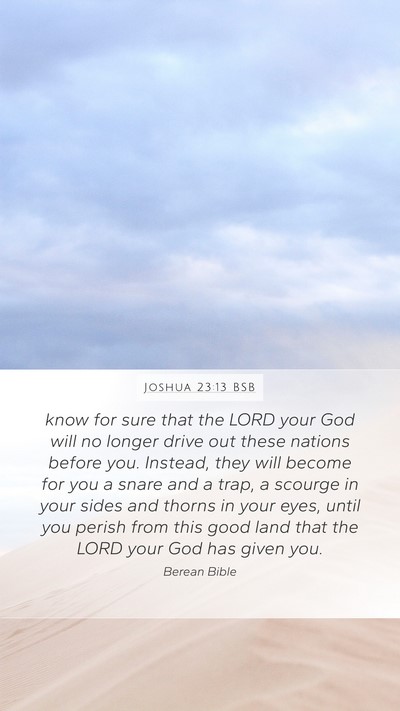 Joshua 23:13 BSB Bible Verse Image