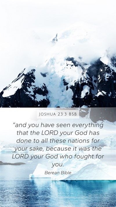 Joshua 23:3 BSB Bible Verse Image