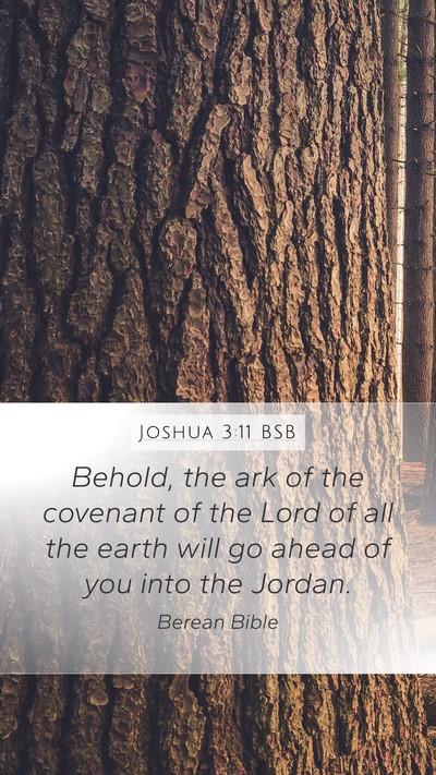 Joshua 3:11 BSB Bible Verse Image