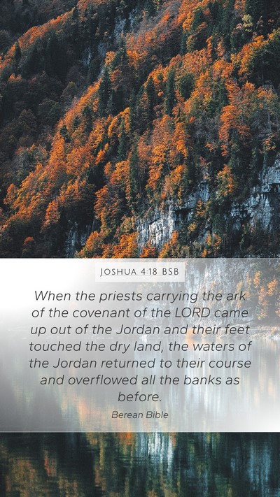 Joshua 4:18 BSB Bible Verse Image