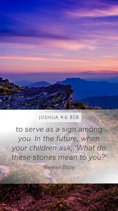 Joshua 4:6 BSB Bible Verse Image
