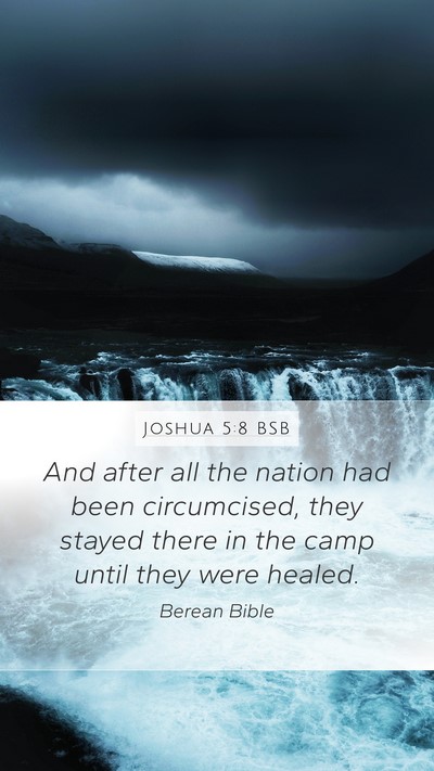 Joshua 5:8 BSB Bible Verse Image