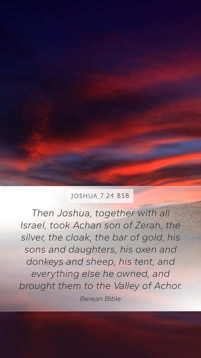Joshua 7:24 BSB Bible Verse Image