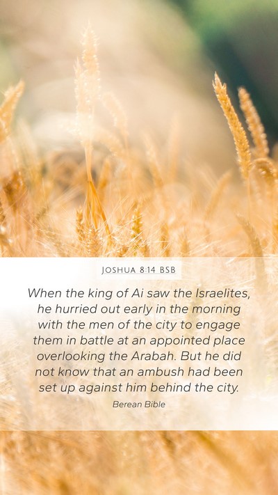 Joshua 8:14 BSB Mobile Phone Wallpaper - When the king of Ai saw the Israelites, he - Mobile Bible Verse Wallpaper