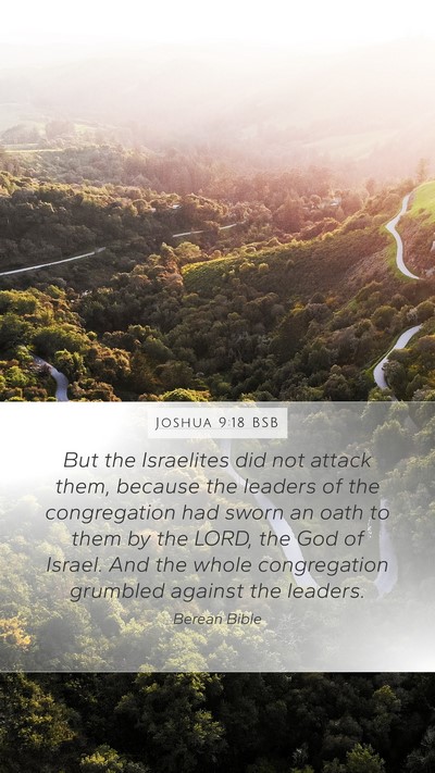 Joshua 9:18 BSB Mobile Phone Wallpaper - But the Israelites did not attack them, because - Mobile Bible Verse Wallpaper