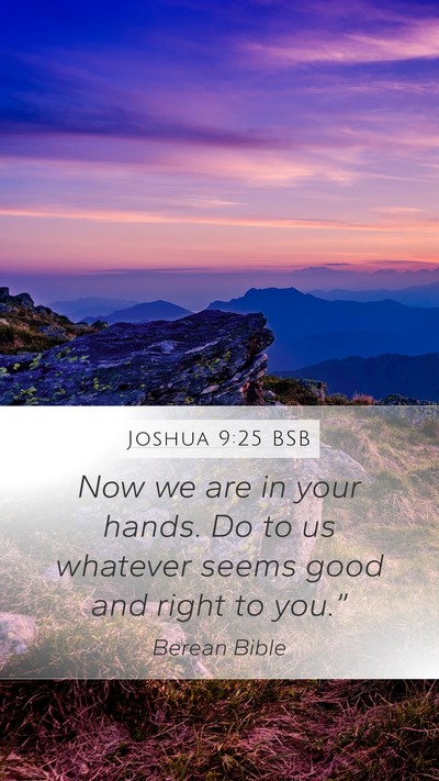 Joshua 9:25 BSB Bible Verse Image