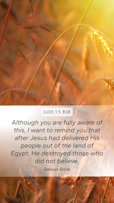 Jude 1:5 BSB Bible Verse Image