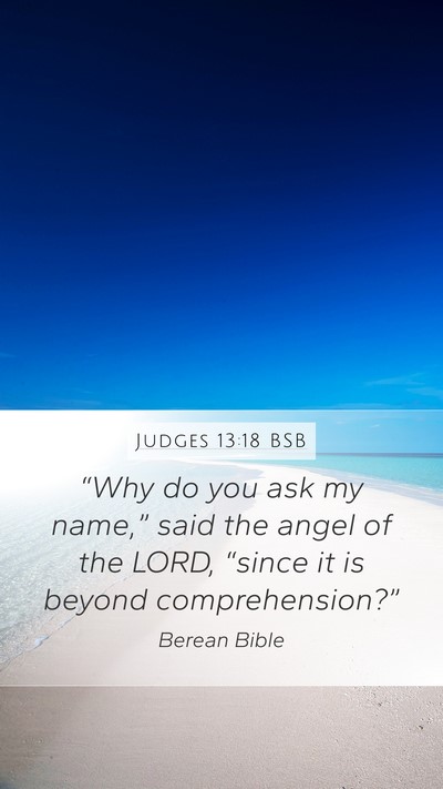 Judges 13:18 BSB Bible Verse Image