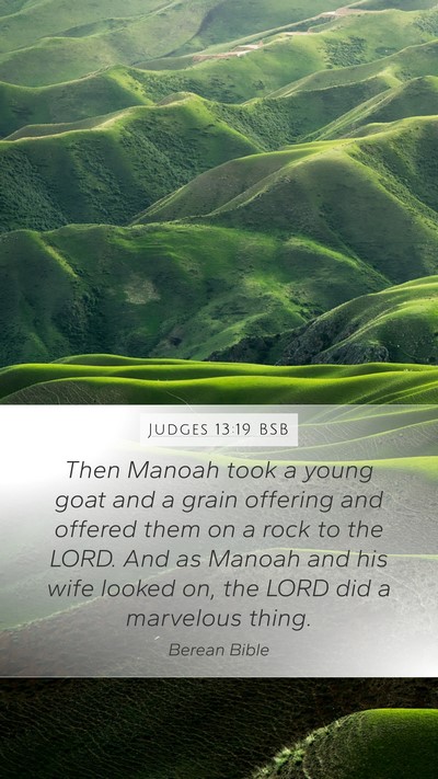 Judges 13:19 BSB Bible Verse Image