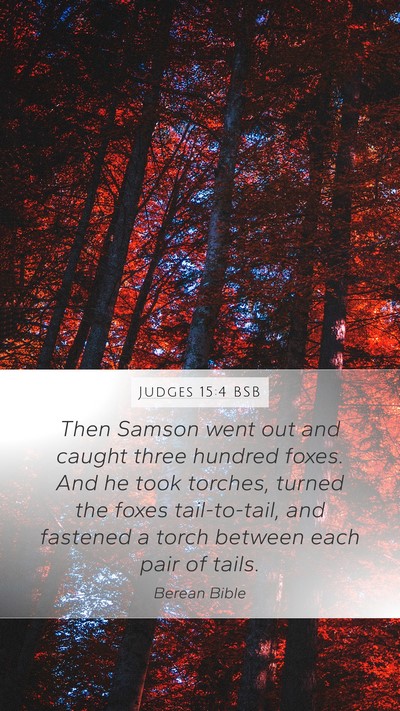 Judges 15:4 BSB Bible Verse Image