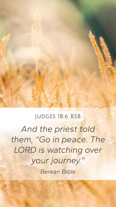 Judges 18:6 BSB Bible Verse Image