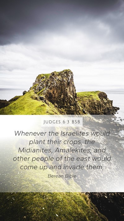 Judges 6:3 BSB Bible Verse Image