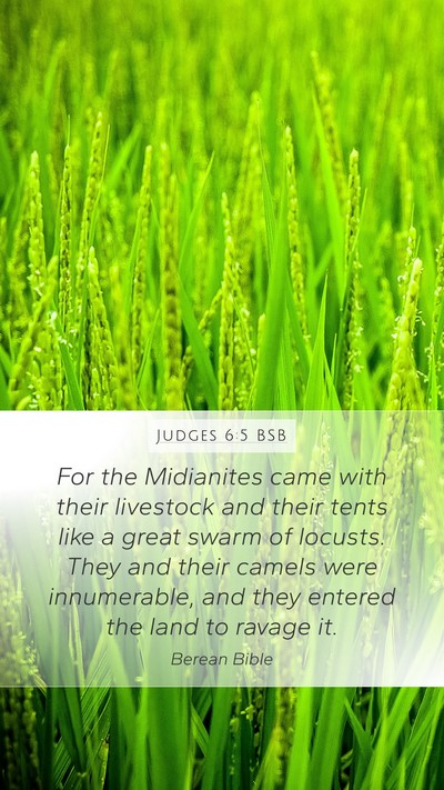 Judges 6:5 BSB Bible Verse Image