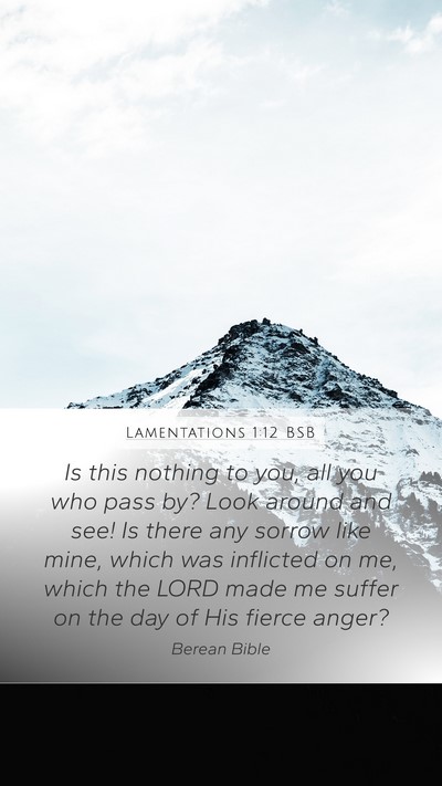 Lamentations 1:12 BSB Bible Verse Image