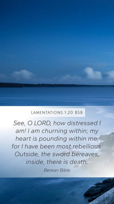 Lamentations 1:20 BSB Bible Verse Image