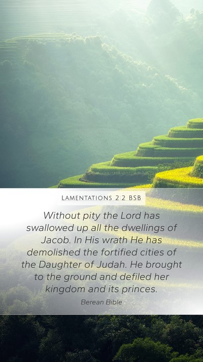Lamentations 2:2 BSB Bible Verse Image
