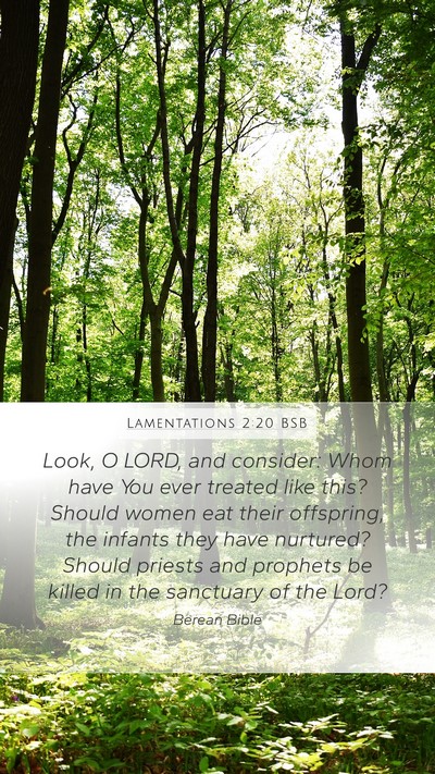Lamentations 2:20 BSB Bible Verse Image