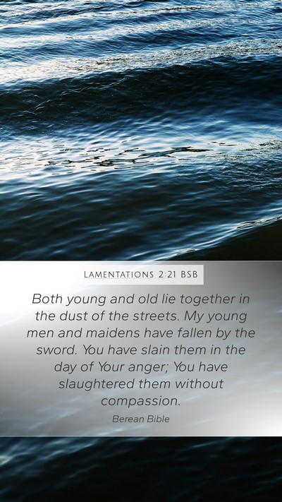 Lamentations 2:21 BSB Bible Verse Image