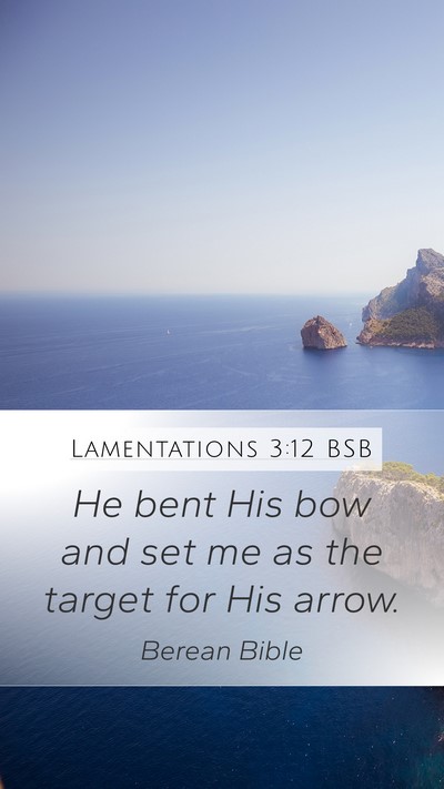 Lamentations 3:12 BSB Bible Verse Image