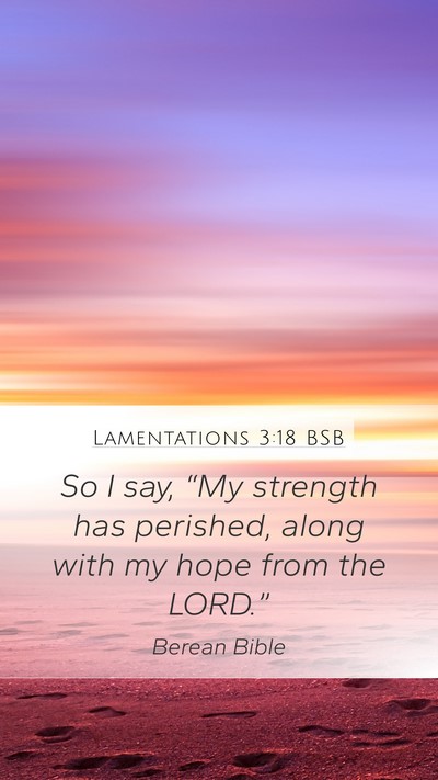 Lamentations 3:18 BSB Mobile Phone Wallpaper - So I say, “My strength has perished, along with - Mobile Bible Verse Wallpaper