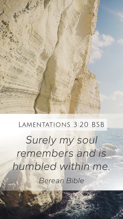 Lamentations 3:20 BSB Bible Verse Image