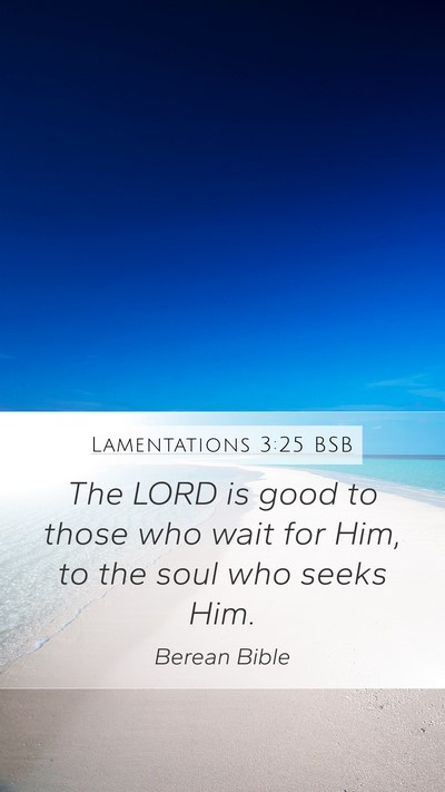 Lamentations 3:25 BSB Bible Verse Image