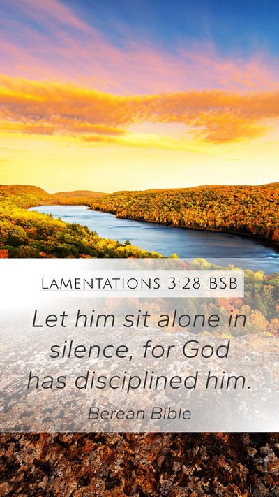 Lamentations 3:28 BSB Bible Verse Image