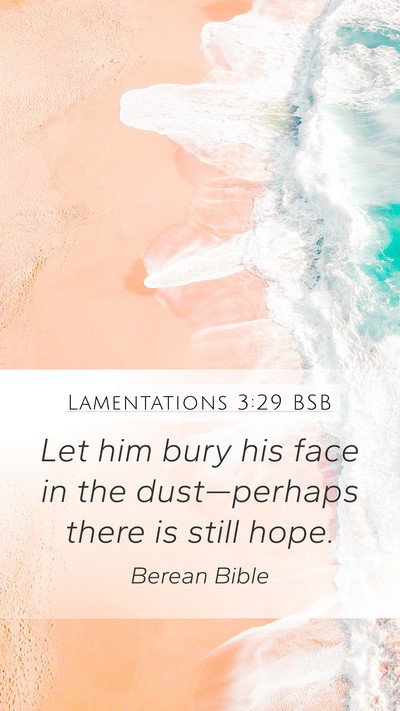 Lamentations 3:29 BSB Bible Verse Image