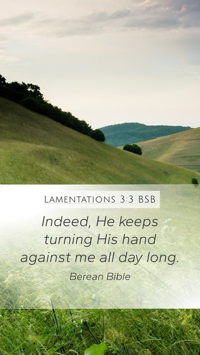 Lamentations 3:3 BSB Bible Verse Image