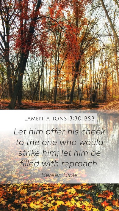 Lamentations 3:30 BSB Bible Verse Image