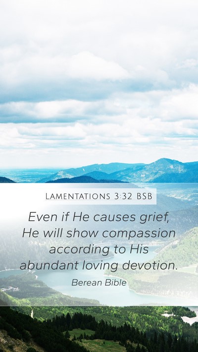 Lamentations 3:32 BSB Bible Verse Image