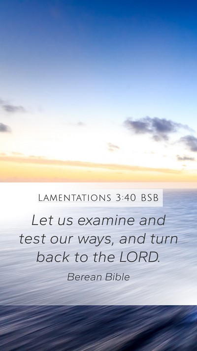 Lamentations 3:40 BSB Bible Verse Image