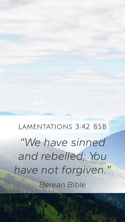 Lamentations 3:42 BSB Bible Verse Image