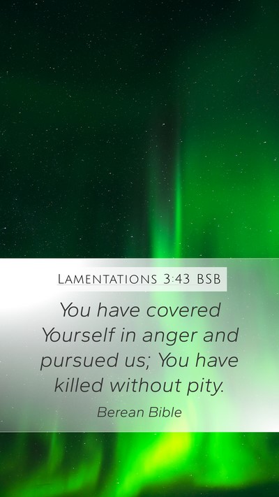 Lamentations 3:43 BSB Bible Verse Image