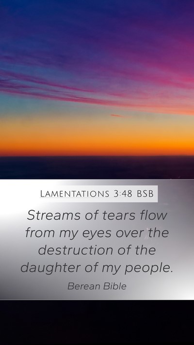 Lamentations 3:48 BSB Bible Verse Image