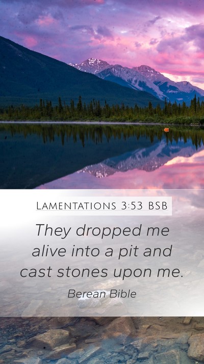 Lamentations 3:53 BSB Bible Verse Image