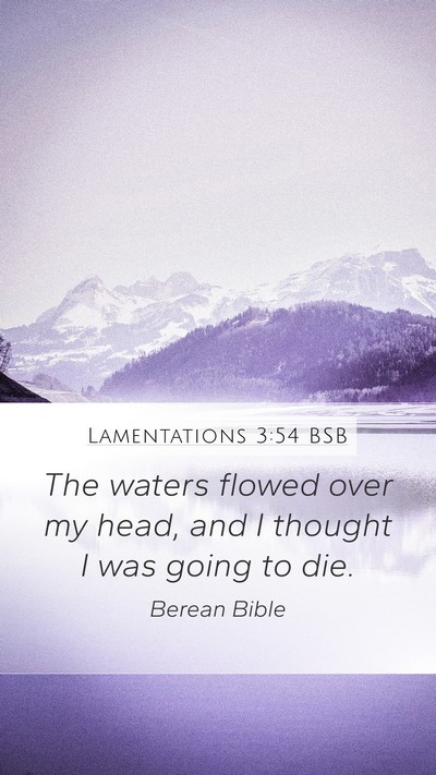 Lamentations 3:54 BSB Bible Verse Image