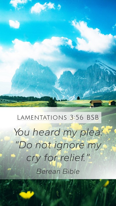 Lamentations 3:56 BSB Mobile Phone Wallpaper - You heard my plea: “Do not ignore my cry for - Mobile Bible Verse Wallpaper