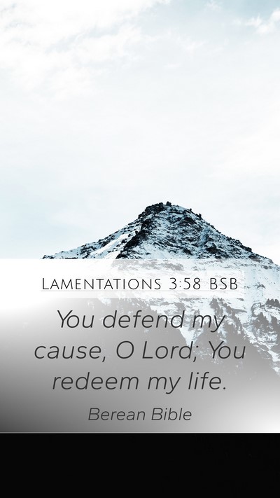 Lamentations 3:58 BSB Bible Verse Image
